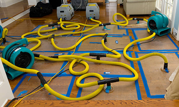 Professional Sewage Cleanup technician working in Long Island, ME